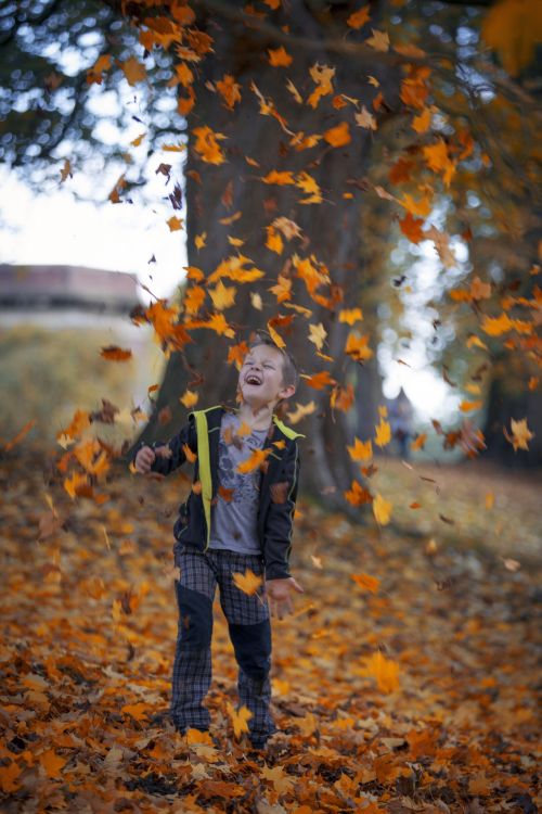 Happy Boy An Autumn Leaves