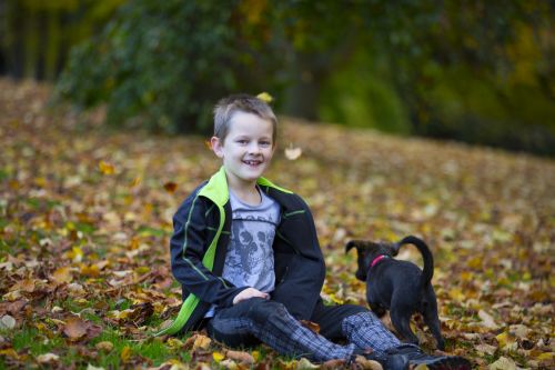 Happy Boy An Autumn Leaves