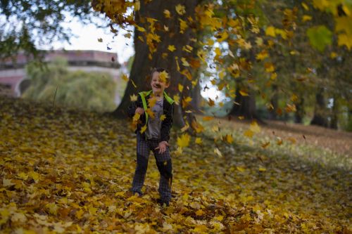 Happy Boy An Autumn Leaves