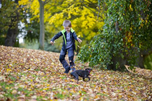 Happy Boy An Autumn Leaves