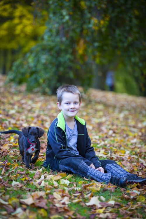 Happy Boy An Autumn Leaves