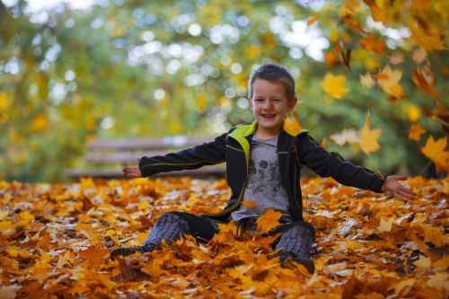 Happy Boy And Autumn Leaves