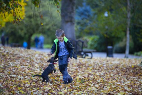 Happy Boy And Autumn Leaves