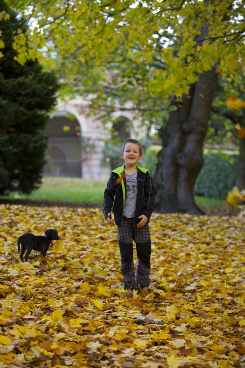 Happy Boy And Autumn Leaves