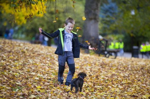 Happy Boy And Autumn Leaves