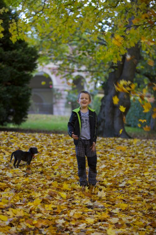 Happy Boy And Autumn Leaves