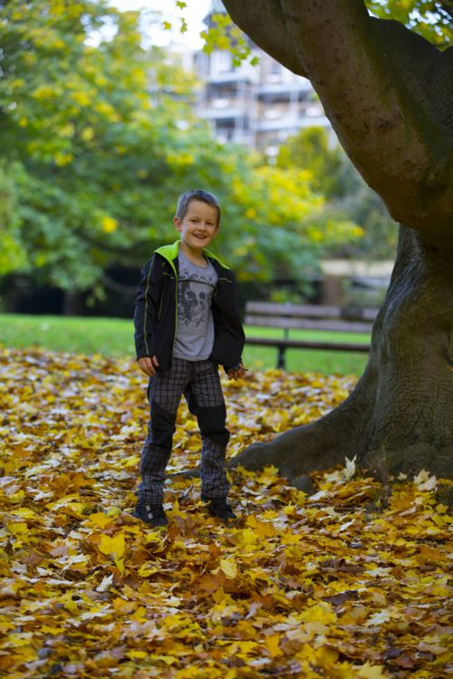 Happy Boy And Autumn Leaves