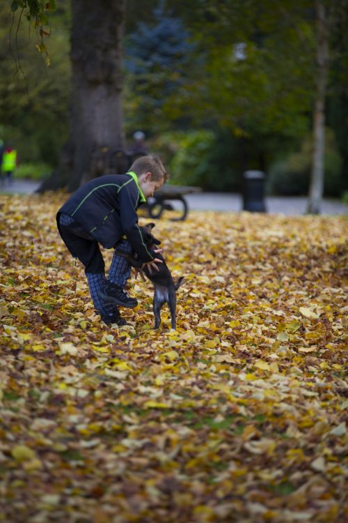 Happy Boy And Autumn Leaves