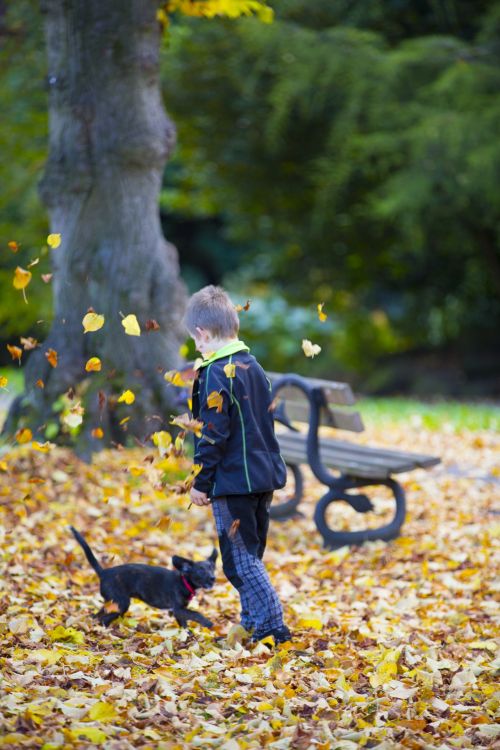 Happy Boy And Autumn Leaves