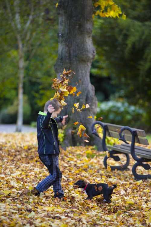 Happy Boy And Autumn Leaves