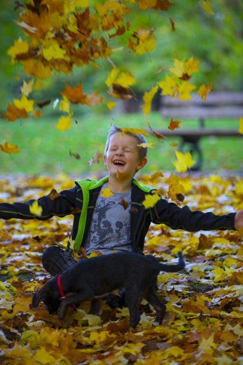 Happy Boy And Autumn Leaves