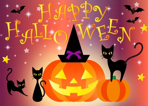 happy halloween  black cat  pumpkin