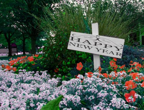 Happy New Year Sign In Garden