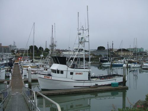 harbor boats fishing