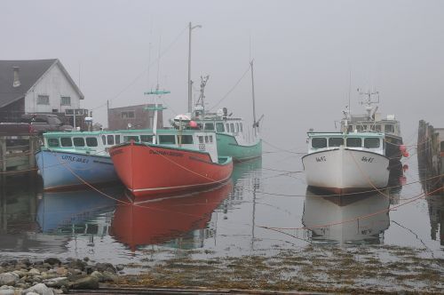 harbor watercraft transportation system