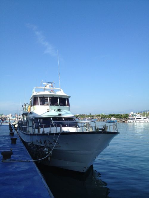 harbor ship dolphin