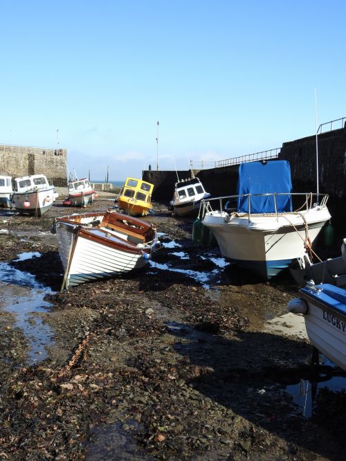 Harbour Boats