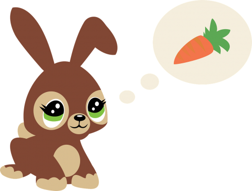 hare carrots cute