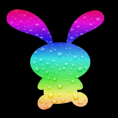 hare rainbow colors funny