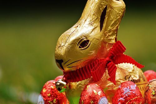 hare easter chocolate