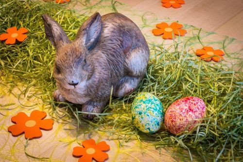 hare easter spring