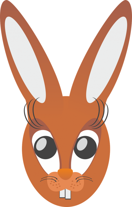 hare rabbit long eared