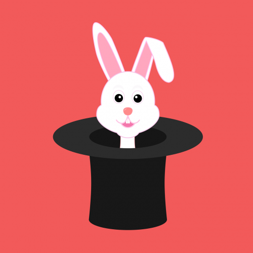 hare bunny magician