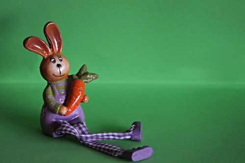 hare carrot cute