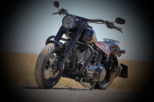 harley  softail  slims