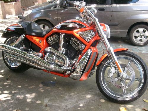 harley davidson motorcycle bike
