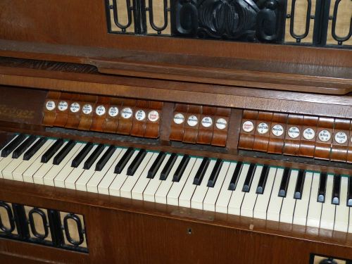 harmonium instrument keyboard instrument
