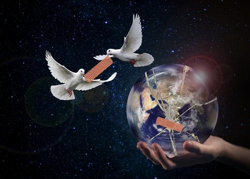 harmony  world peace  dove
