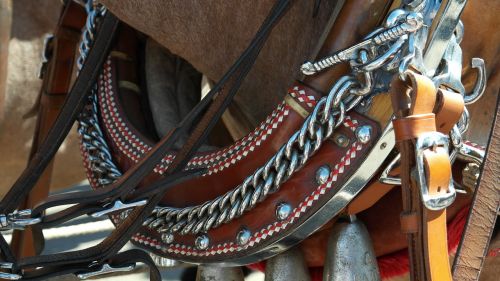 harness for horses horse reins