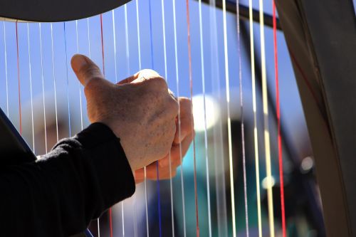 harp instrument music