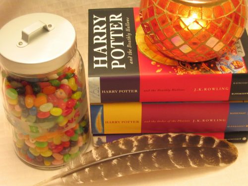 harry potter books fantasy
