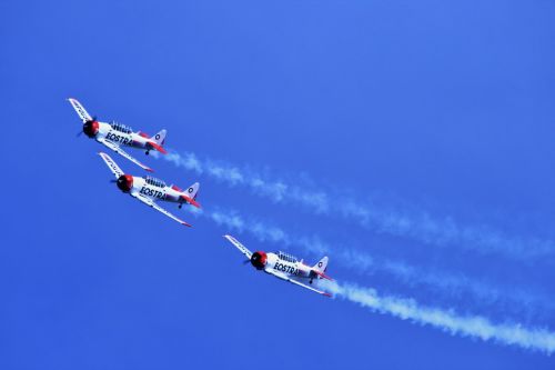Harvard Aerobatic Team