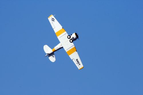 Harvard Against Blue Sky