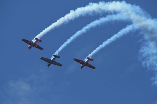 Harvards Inverted In Loop