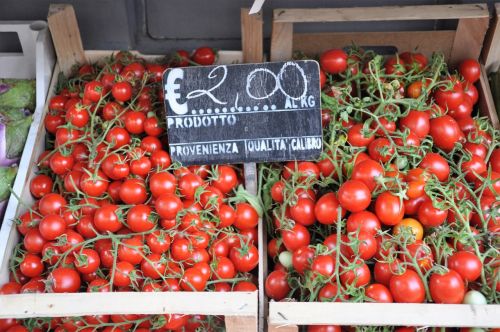 harvest market italy