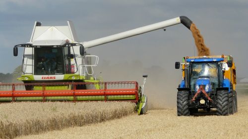 harvest grain combine