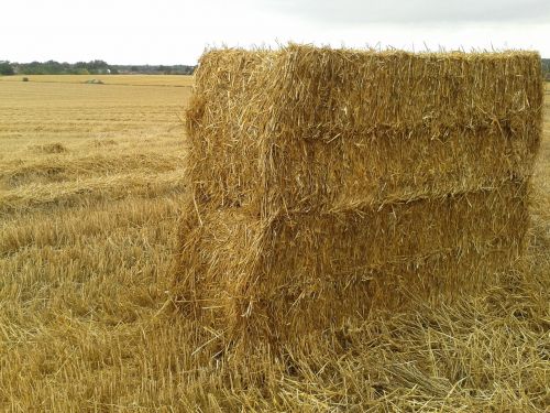 harvest haystack fall