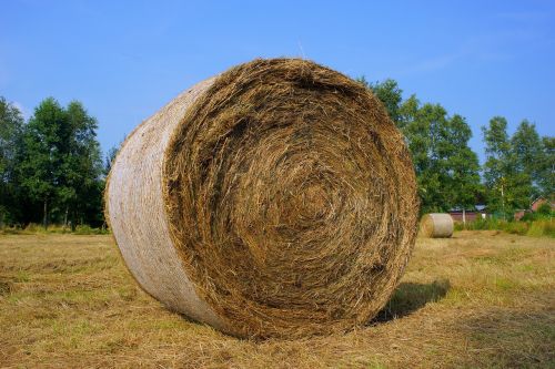 harvest rundballepresser hay
