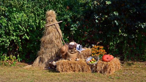 harvest harvest festival thanksgiving