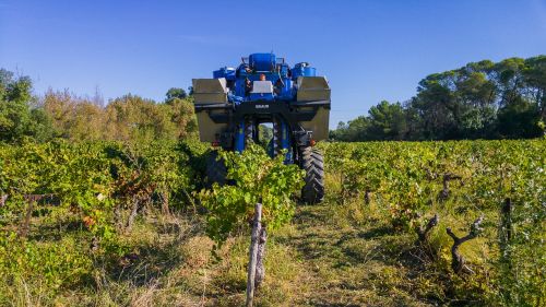 harvest grape harvesting machine agricultural machine