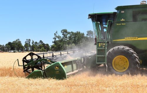 harvest wheat cereal