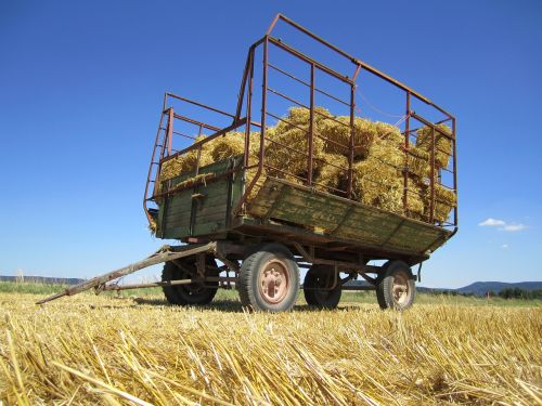 harvest bauer fieldwork