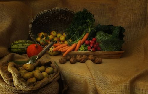 harvest vegetables thanksgiving