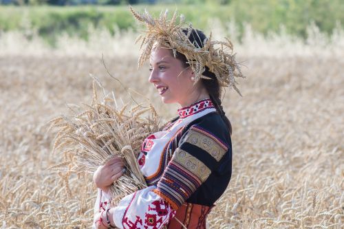 harvest summer nature