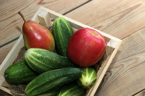 harvest  garden  cucumbers