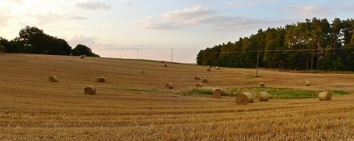 harvest  straw bales  stubble